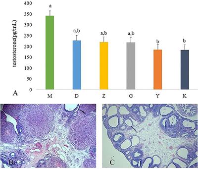 Guizhi Fuling Wan, Chinese Herbal Medicine, Ameliorates Insulin Sensitivity in PCOS Model Rats With Insulin Resistance via Remodeling Intestinal Homeostasis